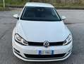Volkswagen Golf Golf 5p 1.6 tdi (btdi) Highline 110cv Bianco - thumbnail 1