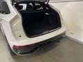 Audi Q5 SPB 40 TDI quattro S tronic S line Bianco - thumbnail 8
