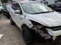 Ford Kuga Unfallfahrzeug ist Nicht Fahrbereit Airbag sind of Weiß - thumbnail 4