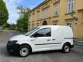 Volkswagen Caddy Caddy Kastenwagen 2,0 TDI ÖAMTC Test NEU Li+Re-... Blanco - thumbnail 15