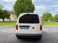 Volkswagen Caddy Caddy Kastenwagen 2,0 TDI ÖAMTC Test NEU Li+Re-... Blanco - thumbnail 9