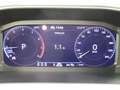 Volkswagen T-Roc 1.5 TSI Goal Navi,LED,PDC,ACC Weiß - thumbnail 9