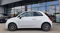 Fiat 500C FireFly Hybrid 70 Dolcevita Weiß - thumbnail 2