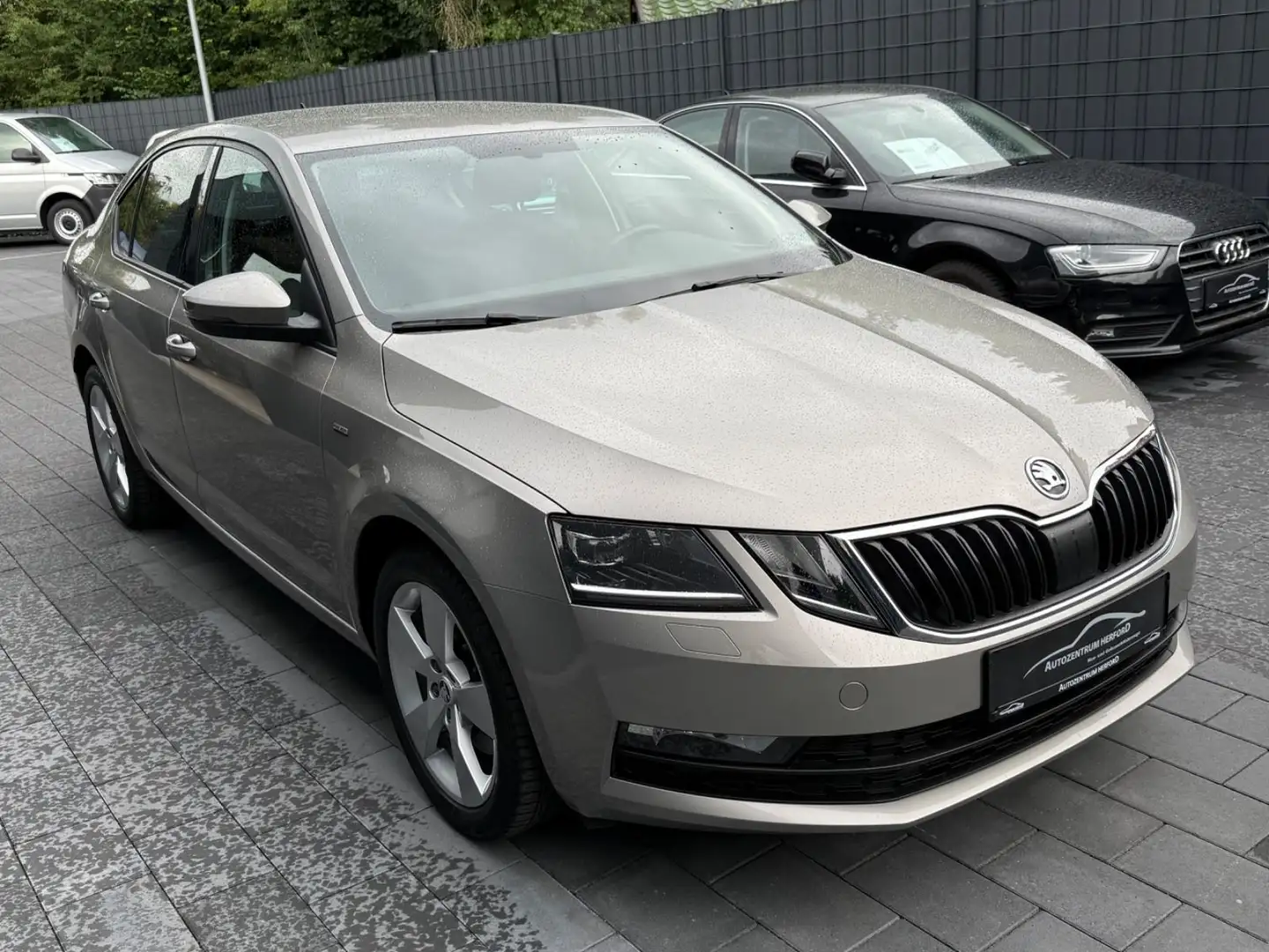 Skoda Octavia Lim. 1.8 TSI Clever NAVI DSG LED 1 HAND Beige - 2