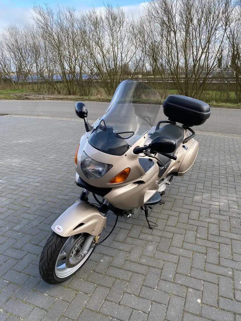 Honda Deauville 650 Auriu - 2