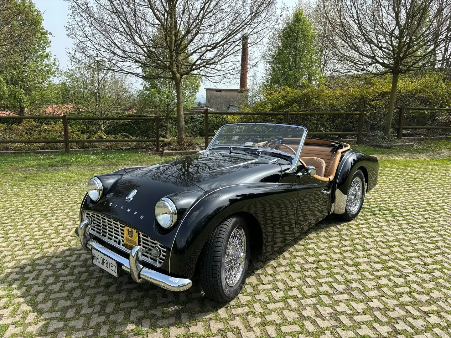 Triumph TR3 Nero - 1