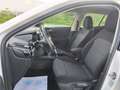 Skoda Fabia 1.0 MPI Ambition 59kW Blanco - thumbnail 18