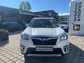 Subaru Forester Platinum Weiß - thumbnail 3