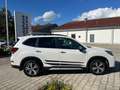 Subaru Forester Platinum Weiß - thumbnail 9