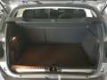 Dacia Sandero Stepway TCE/LPG EXTREME Kamera PDC hi+vo Smartlink Grau - thumbnail 18