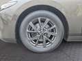 Mazda 3 3 e-Skyactiv-G122 Comfort+ Brun - thumbnail 13