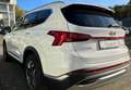 Hyundai SANTA FE 4WD 1.6 HEV  SEVEN Prime Pano Bianco - thumbnail 6