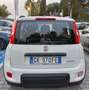 Fiat Panda 1.0 FireFly S&S Hybrid City Life bijela - thumbnail 6