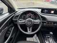 Mazda CX-30 SKYACTIV-G 2.0 150PS M Hybrid SELECTION DES-P PRE- Grau - thumbnail 5
