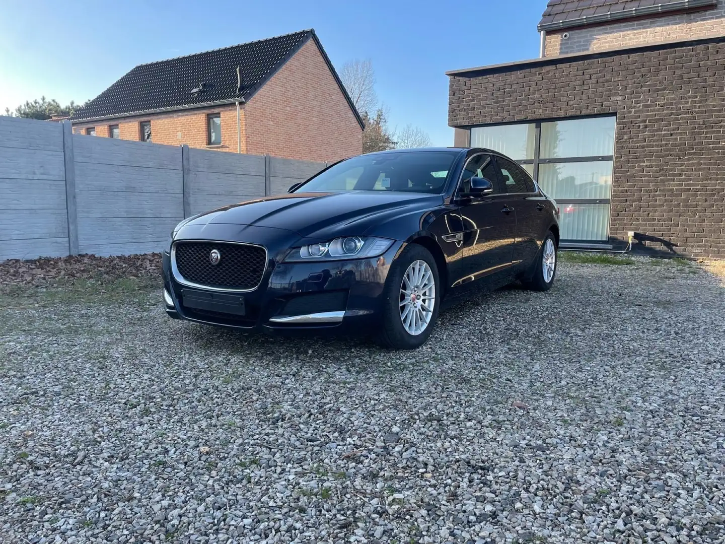 Jaguar XF 2.0 D E-Performance Prestige (EU6.2) Azul - 2