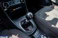 Ford Puma Puma 1.0 ecoboost h ST-Line s&s 125cv - thumbnail 14