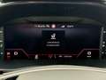 Skoda Fabia 1.0 TSI DSG MONTE CARLO NAVI LED VIRTUAL S Grau - thumbnail 19