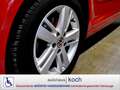 Volkswagen Golf Plus Plus 1.6 TDI BMT Automatik Aktivfahrer Verladesyst Czerwony - thumbnail 14