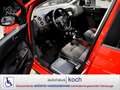 Volkswagen Golf Plus Plus 1.6 TDI BMT Automatik Aktivfahrer Verladesyst Czerwony - thumbnail 12