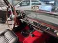 Fiat Pininfarina OSCA 1600 S SPIDER Rot - thumbnail 11