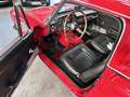 Fiat Pininfarina OSCA 1600 S SPIDER Rot - thumbnail 8