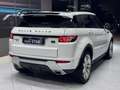 Land Rover Range Rover Evoque 2.2 sd4 Dynamic 190cv TAGLIANDI CERTIFICATI Bianco - thumbnail 6