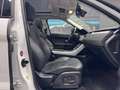 Land Rover Range Rover Evoque 2.2 sd4 Dynamic 190cv TAGLIANDI CERTIFICATI Bianco - thumbnail 13