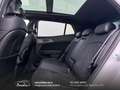 Kia Sportage 1.6 crdi GT-line Plus awd dct Tetto-Gancio traino Weiß - thumbnail 14