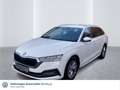 Skoda Octavia Combi Style 2.0 TDI DSG AHK Einparkhilfe Weiß - thumbnail 1