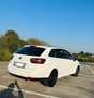 SEAT Ibiza ST 1.2 tdi - thumbnail 3