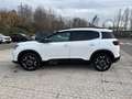 Citroen C5 Aircross BlueHDi 130 S&S Shine EAT8 Bianco - thumbnail 2