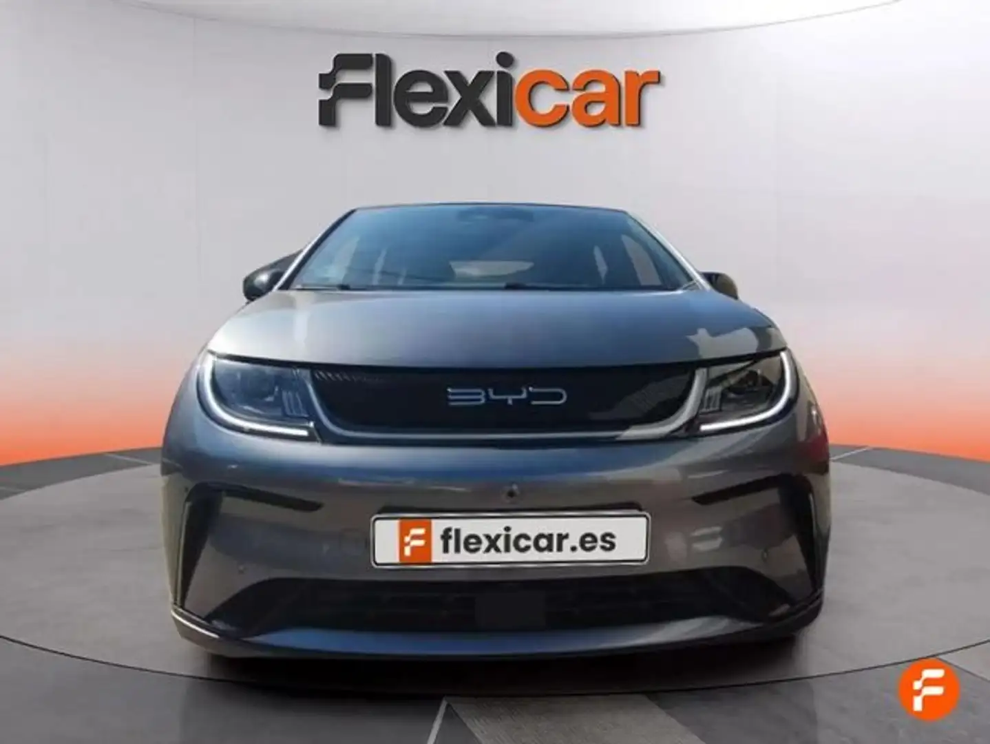 BYD Dolphin Design Gris - 2