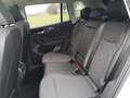 Volkswagen Tiguan 1.5 eTSI 110 kW Life Pano IQ LED Head GV5 AHK 3... Grau - thumbnail 9