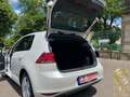 Volkswagen Golf Top Ausstattung in Sonderweiss bester Zustand Weiß - thumbnail 13