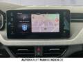 Skoda Kamiq 1.0 TSI Tour DSG AHZV NAVI TOTWINKEL LED Blau - thumbnail 13