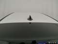 Fiat 600 1.2 Hybrid 110 CV DCT MHEV Bianco - thumbnail 23