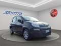 Fiat Panda Pandina 1.0 firefly hybrid s&s 70cv SENZA OBBLIGO Noir - thumbnail 5