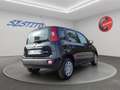 Fiat Panda Pandina 1.0 firefly hybrid s&s 70cv SENZA OBBLIGO Noir - thumbnail 3