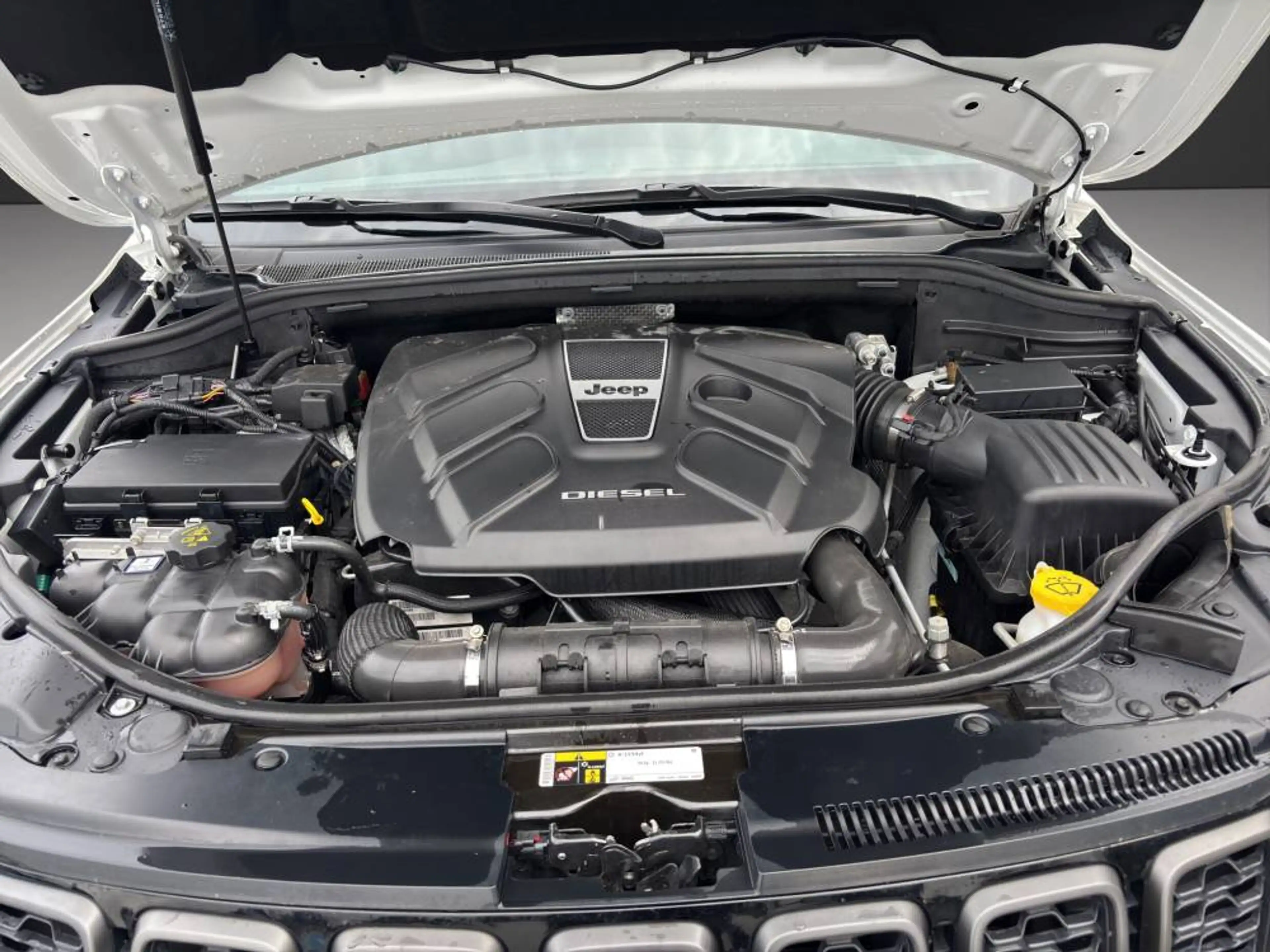 Jeep Grand Cherokee MY19 Trailhawk 3.0l V6 MultiJet 184 — photo 15