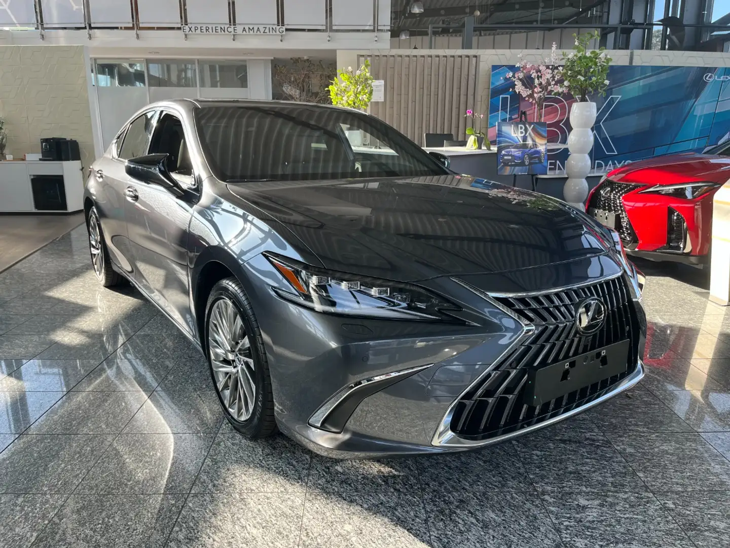 Lexus ES 300 h Luxury Line HUD, 360°Kamera, Schiebedach Šedá - 2