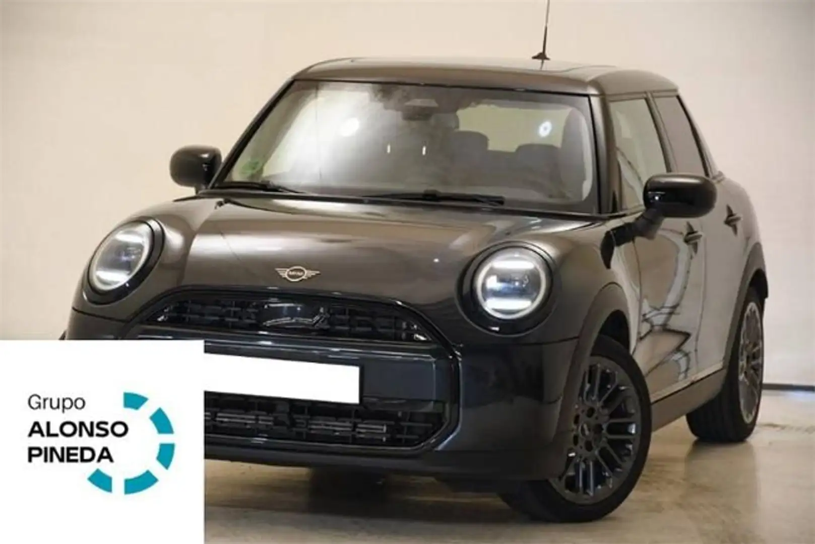 MINI Cooper C Classic Trim Gris - 1