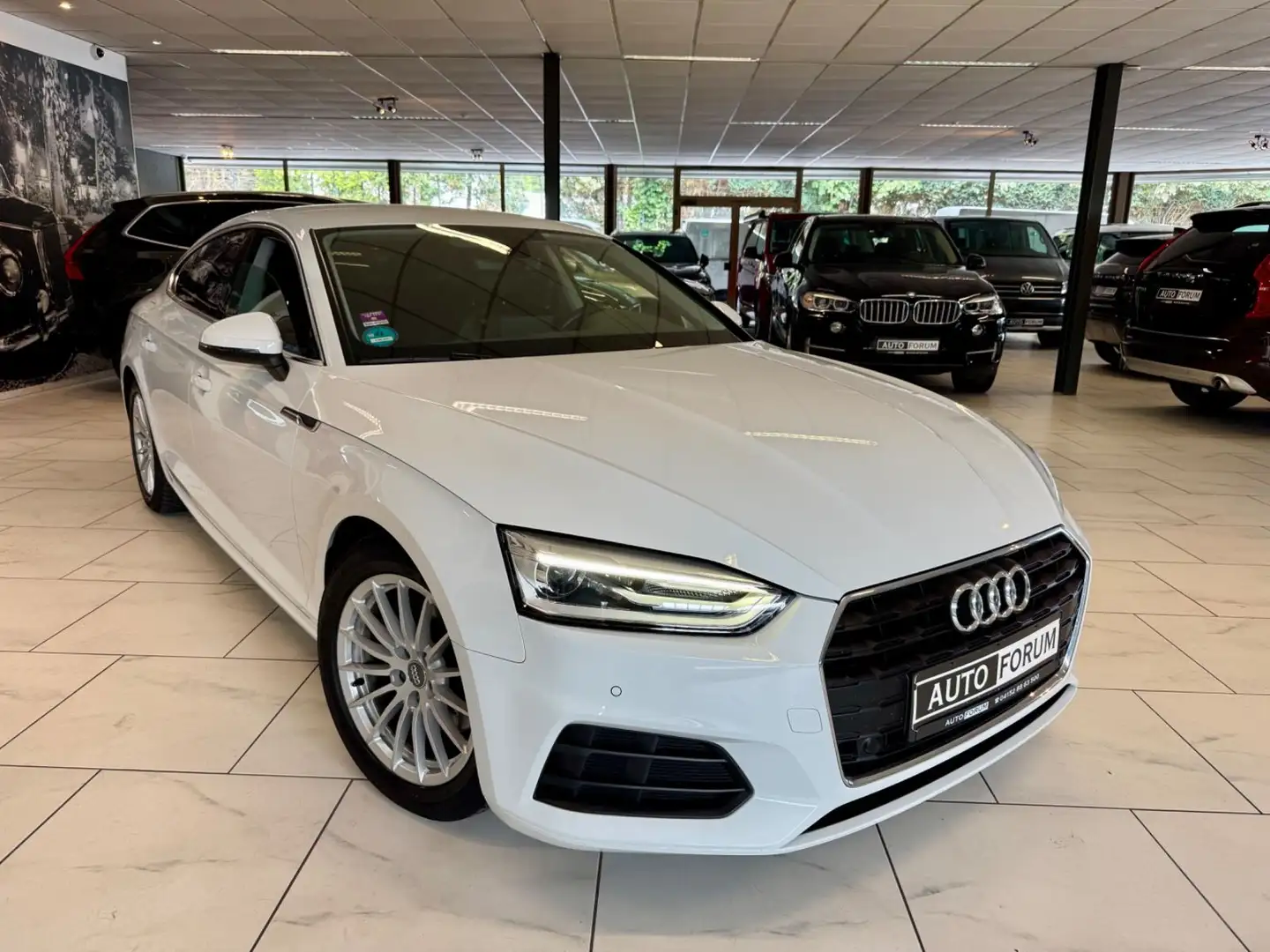 Audi A5 40 TFSI SB SPORT AUT LEDER NAVI CAM STANDHZG Weiß - 2