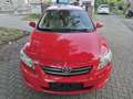 Toyota Corolla Rouge - thumbnail 16