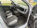 Fiat Panda 1.0 FireFly S&S Hybrid,Km 14621 Gris - thumbnail 9