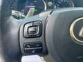 Lexus IS 300 IS 300h 2.5 Executive cvt Grigio - thumbnail 13