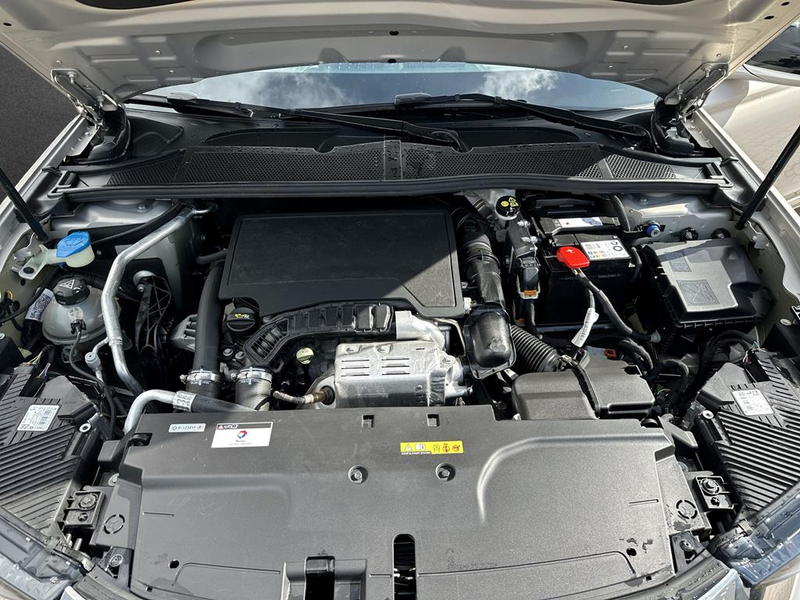 DS Automobiles DS 4 PERFORMANCE LINE + E-TENSE 225 (MY22) — photo 5