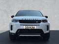 Land Rover Discovery Sport 2.0 Diesel D165 Dynamic SE / Win Weiß - thumbnail 8