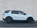 Land Rover Discovery Sport 2.0 Diesel D165 Dynamic SE / Win Weiß - thumbnail 6