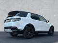 Land Rover Discovery Sport 2.0 Diesel D165 Dynamic SE / Win Weiß - thumbnail 2
