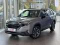 Subaru Forester Forester eBoxer Adventure Grau - thumbnail 1